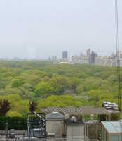  09-Central Park view.JPG 